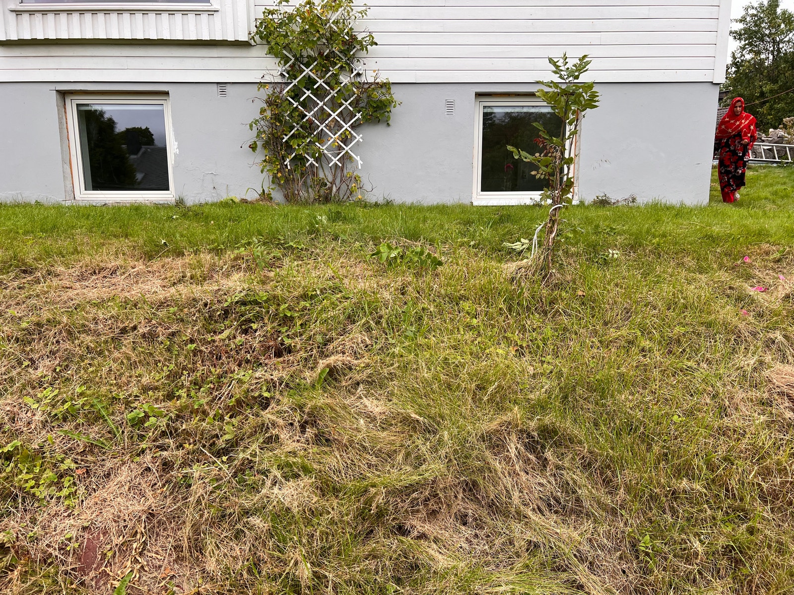 Bild fra utsida Galleribilde