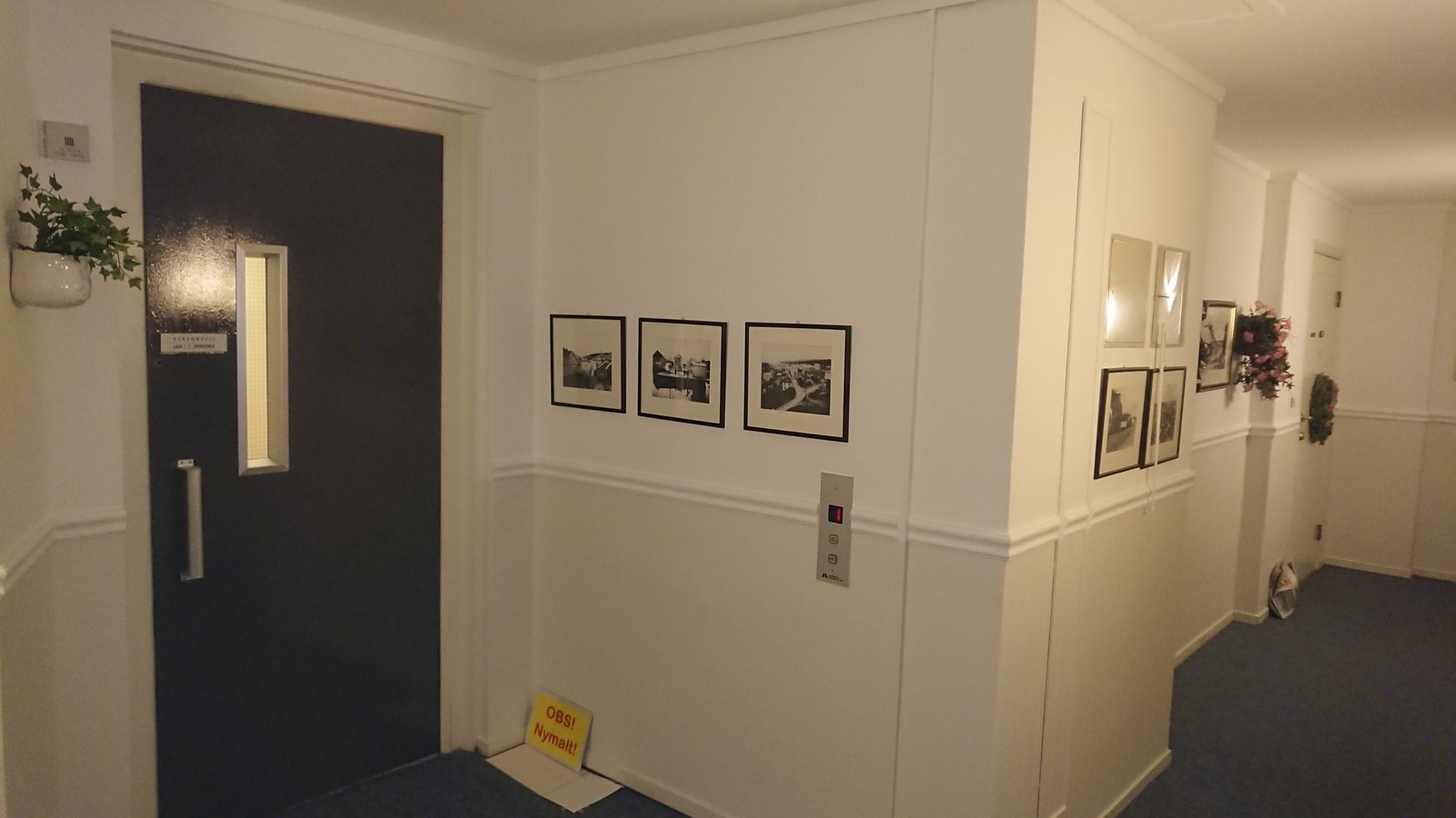 Nyoppusset gang Galleribilde