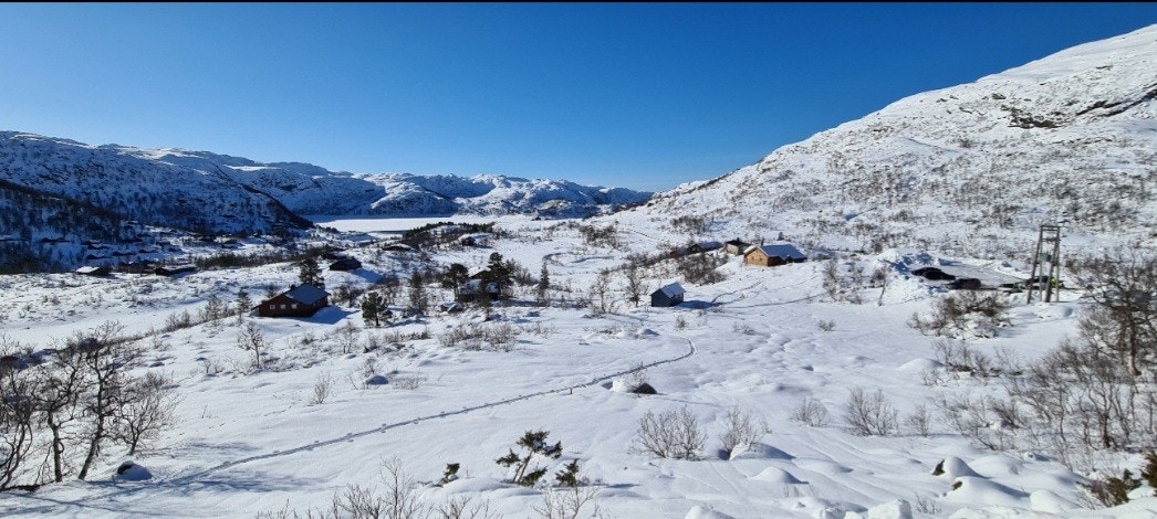 Utsikt frå hytta vinter Galleribilde