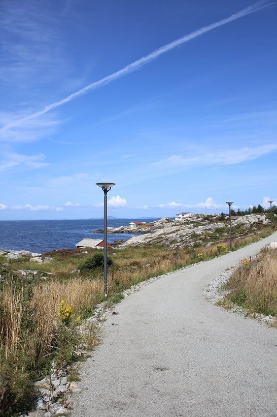 Flotte turområder langs sjøen Galleribilde