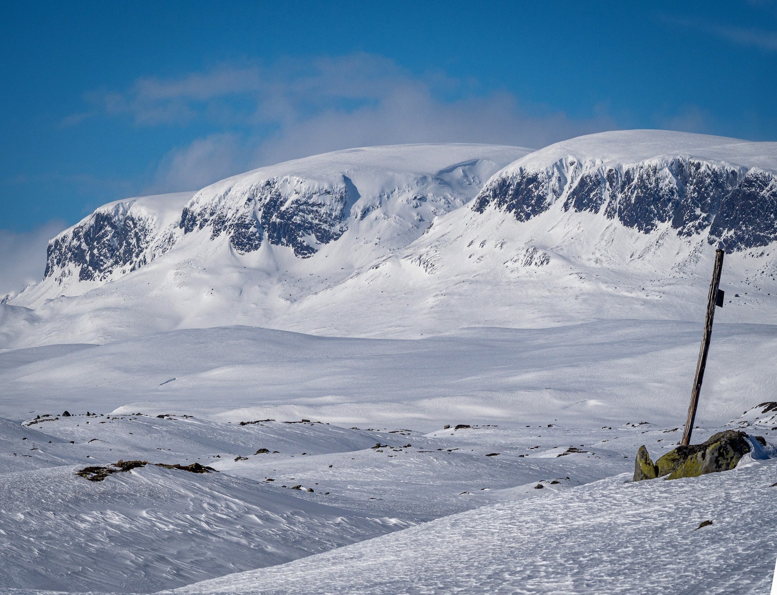 Hallingskarvet i vinterpryd Galleribilde