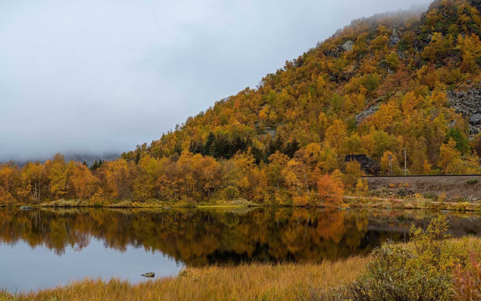 Vakre høstfarger på Haugastøl Galleribilde