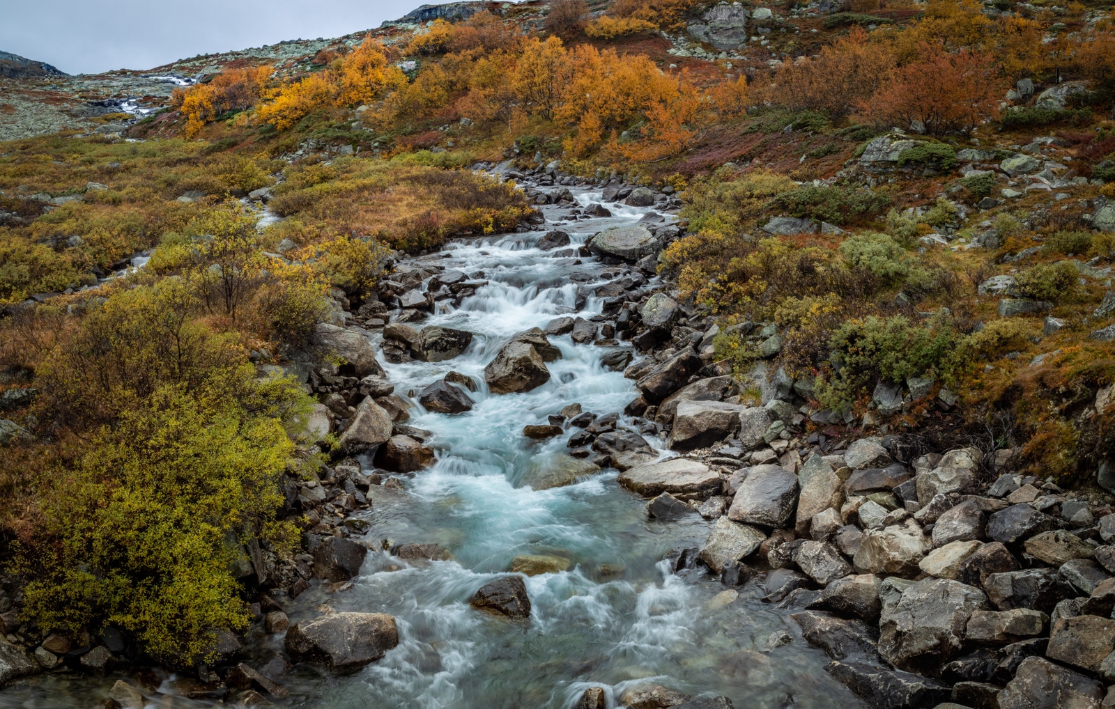 Vakre høstfarger på Haugastøl Galleribilde