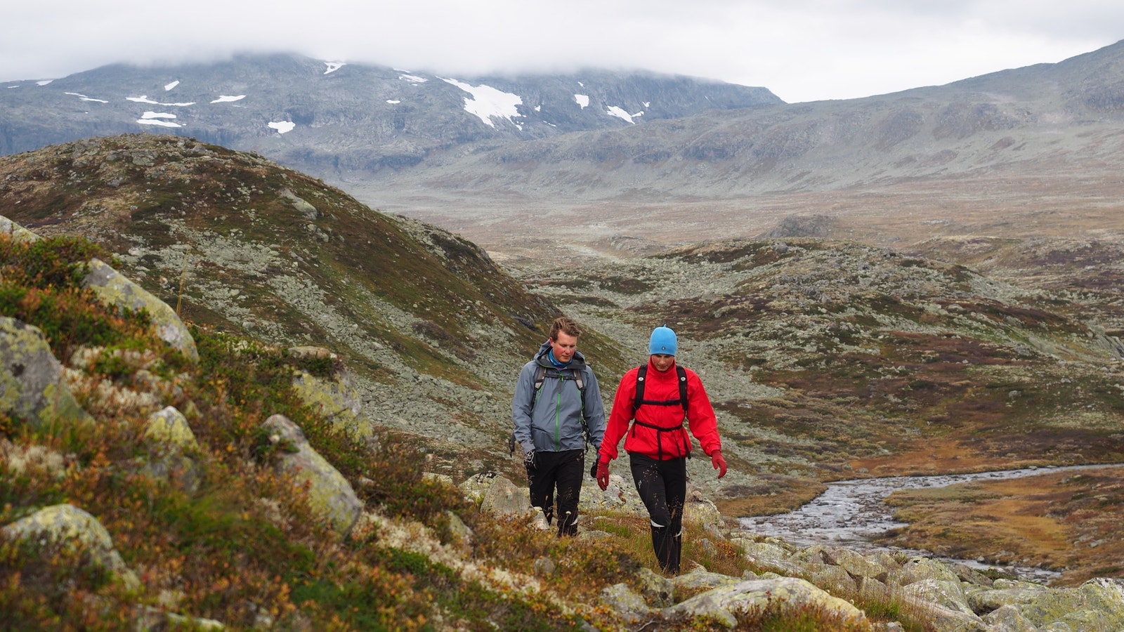 På tur fra Folardskardnuten 1933 moh - den høyeste toppen syd for Jotunheimen Galleribilde