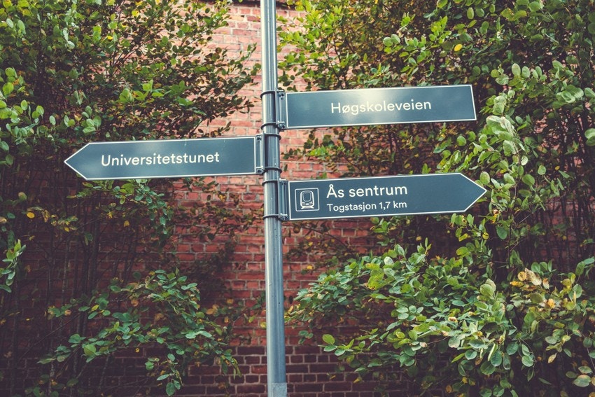 Idylliske og grønne omgivelser. Galleribilde