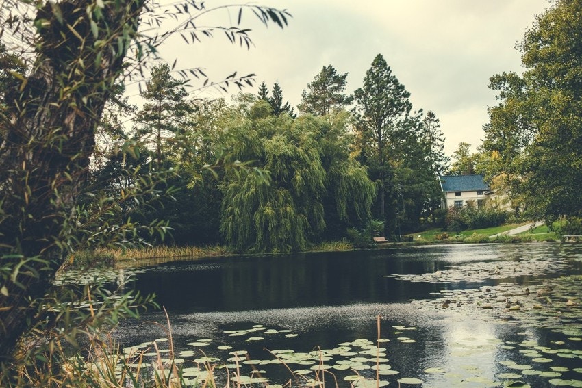 Idylliske og grønne omgivelser. Galleribilde