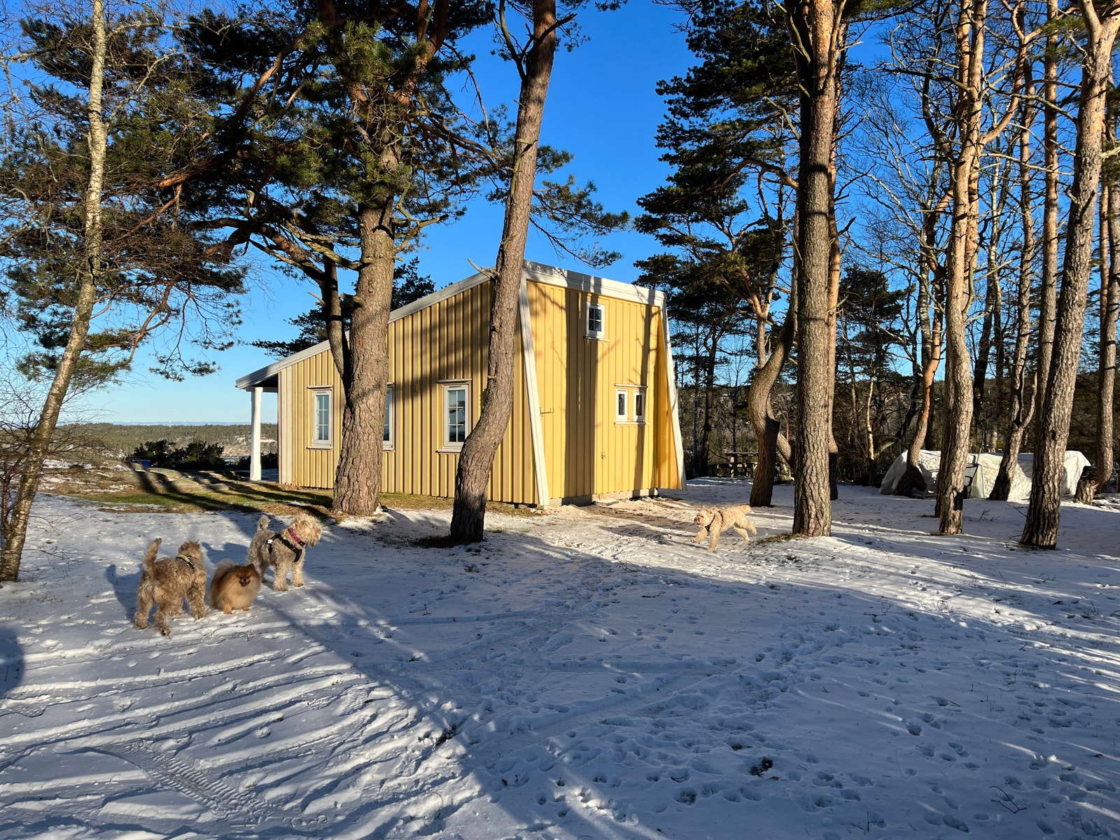 Fint sommer som vinter! Galleribilde