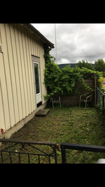 Liten hage Galleribilde