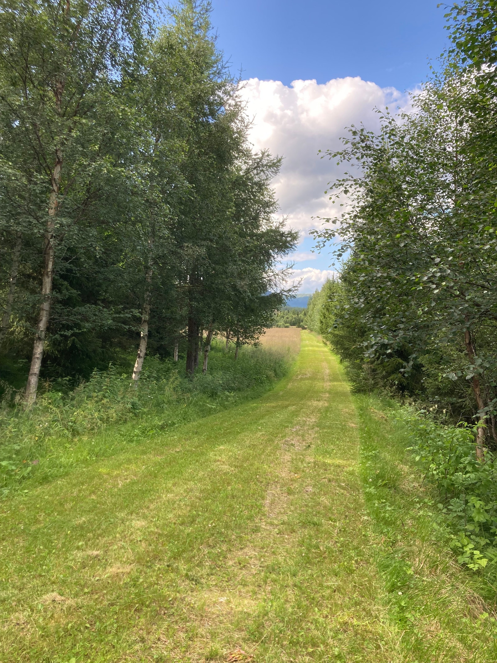 Drfitsvei nord for tun Galleribilde