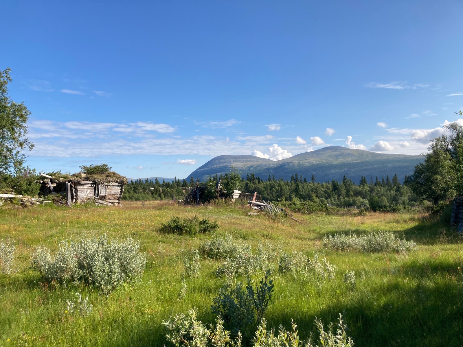 Setertomt Østerlia Galleribilde