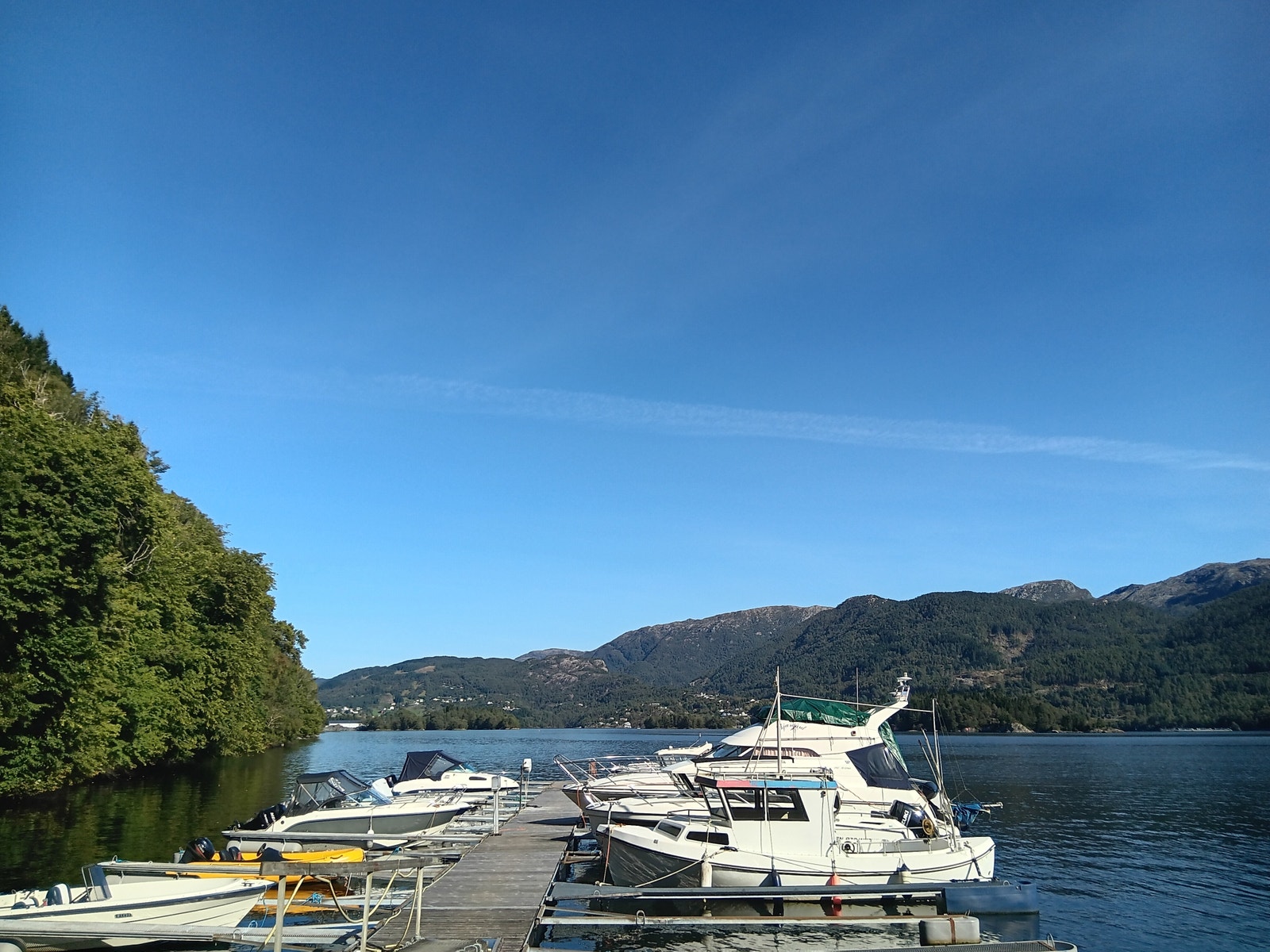 Båthavn. Galleribilde