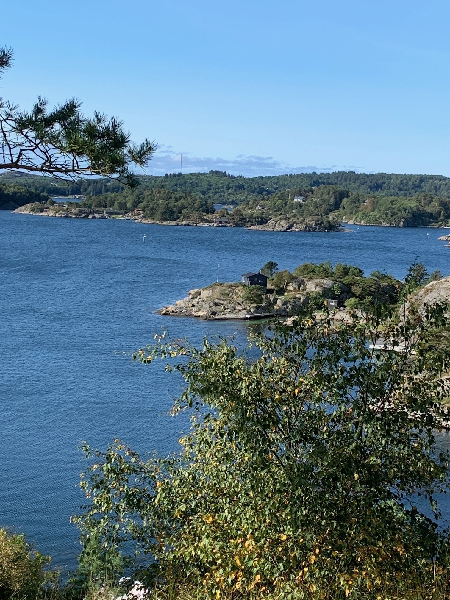 Skogsøy buøy Galleribilde