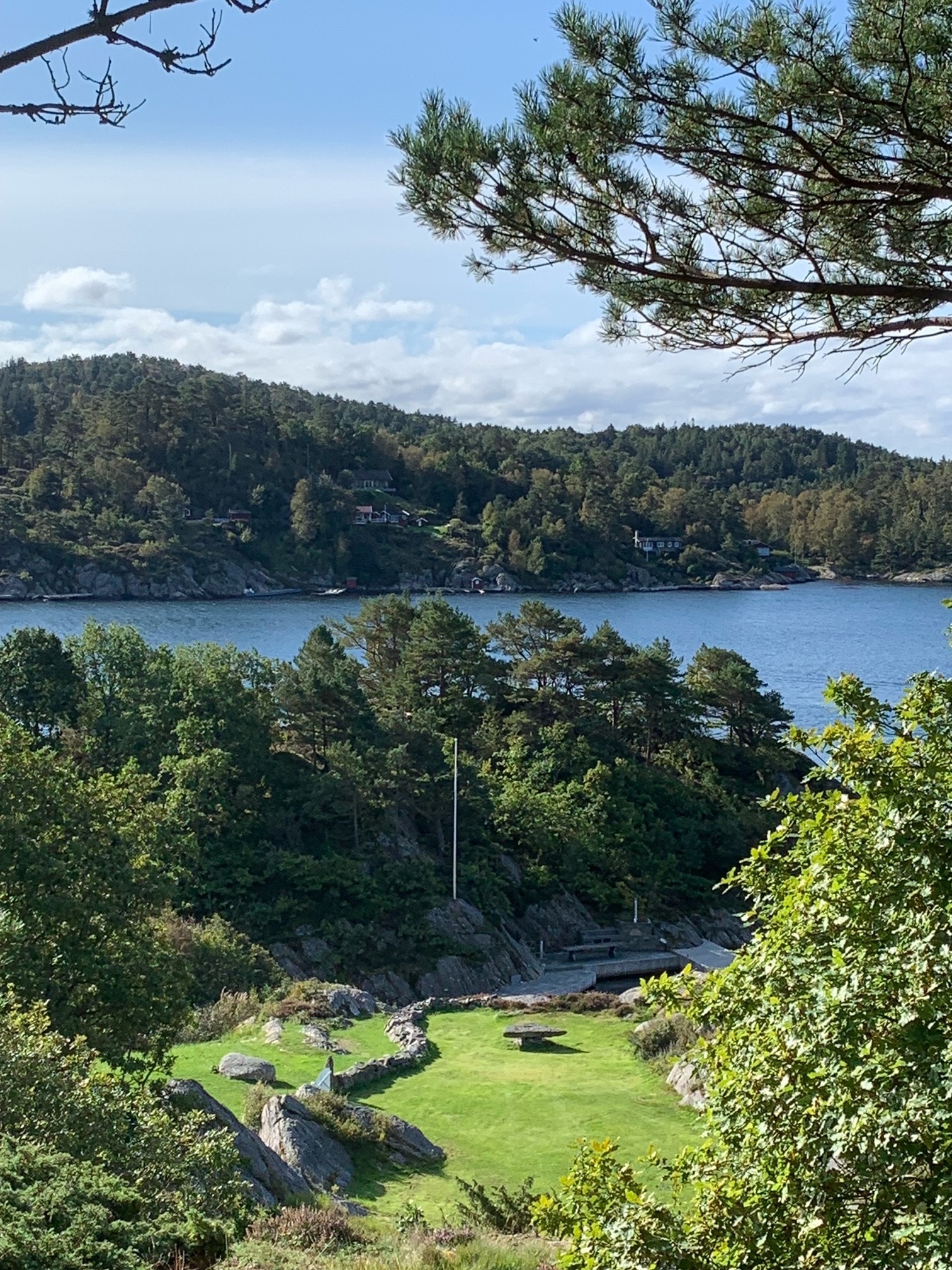 Skogsøy Buøy Galleribilde