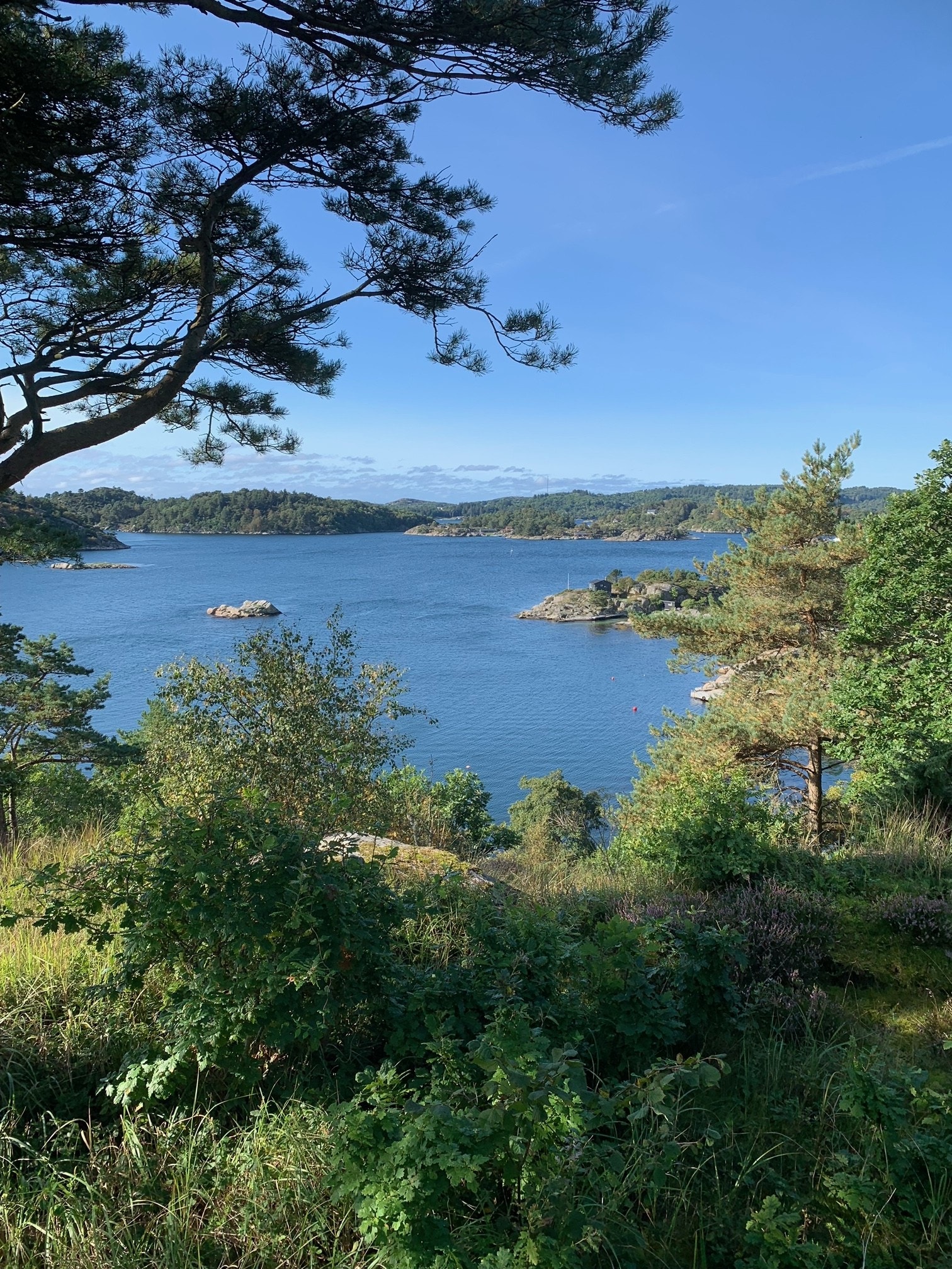Skogsøy Buøy, noe av utsikten Galleribilde