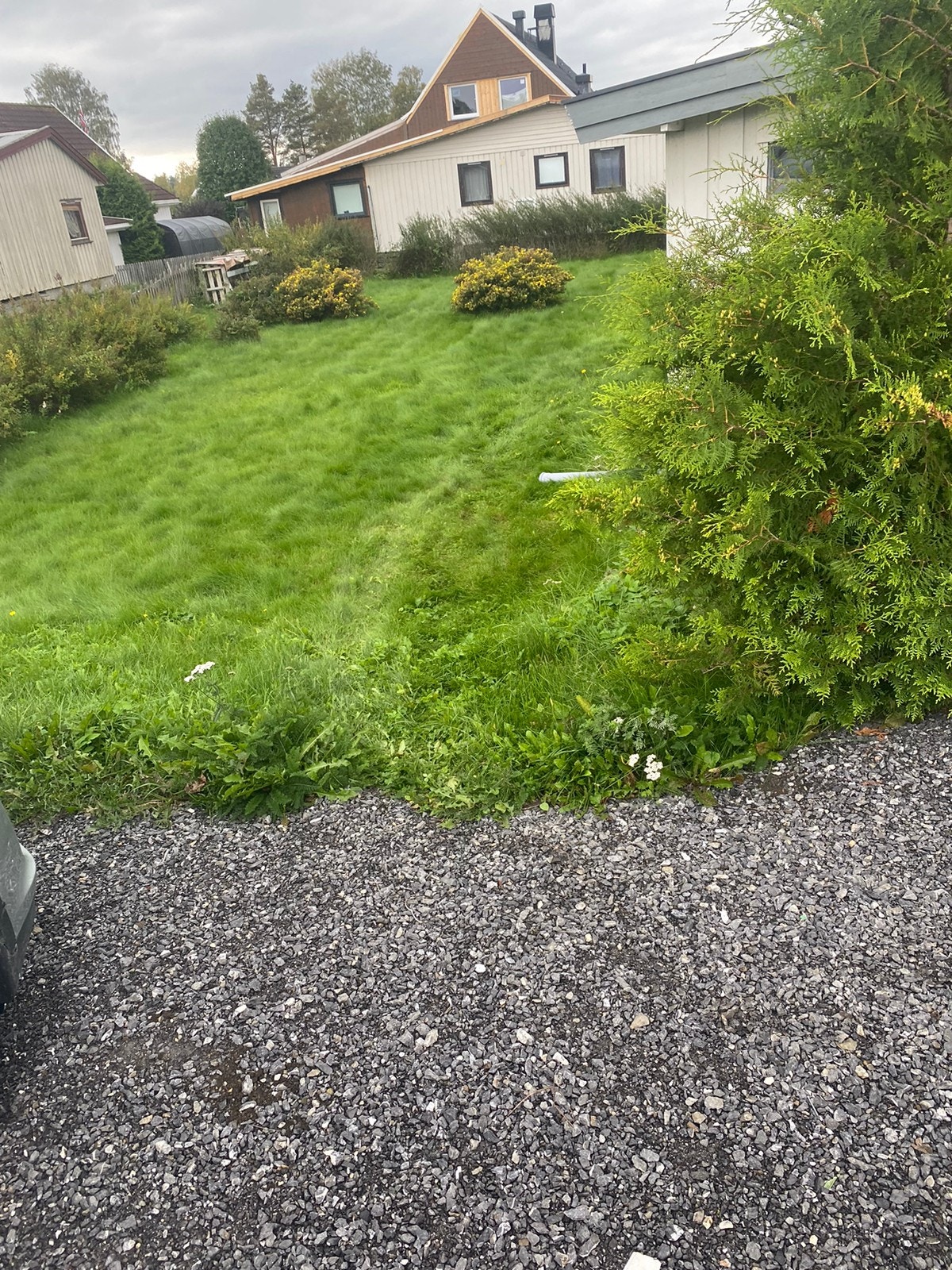 Uteplass Galleribilde