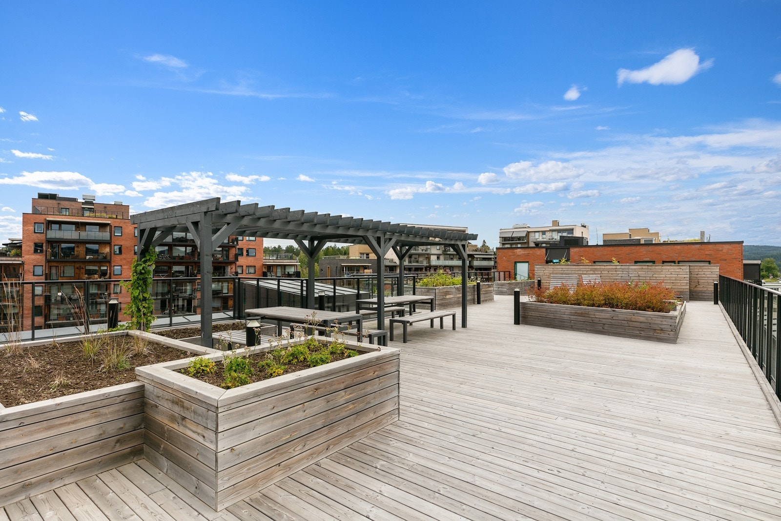 Takterasse Galleribilde