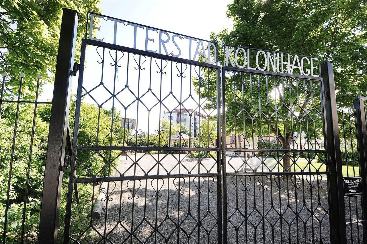 kolonihagen Galleribilde