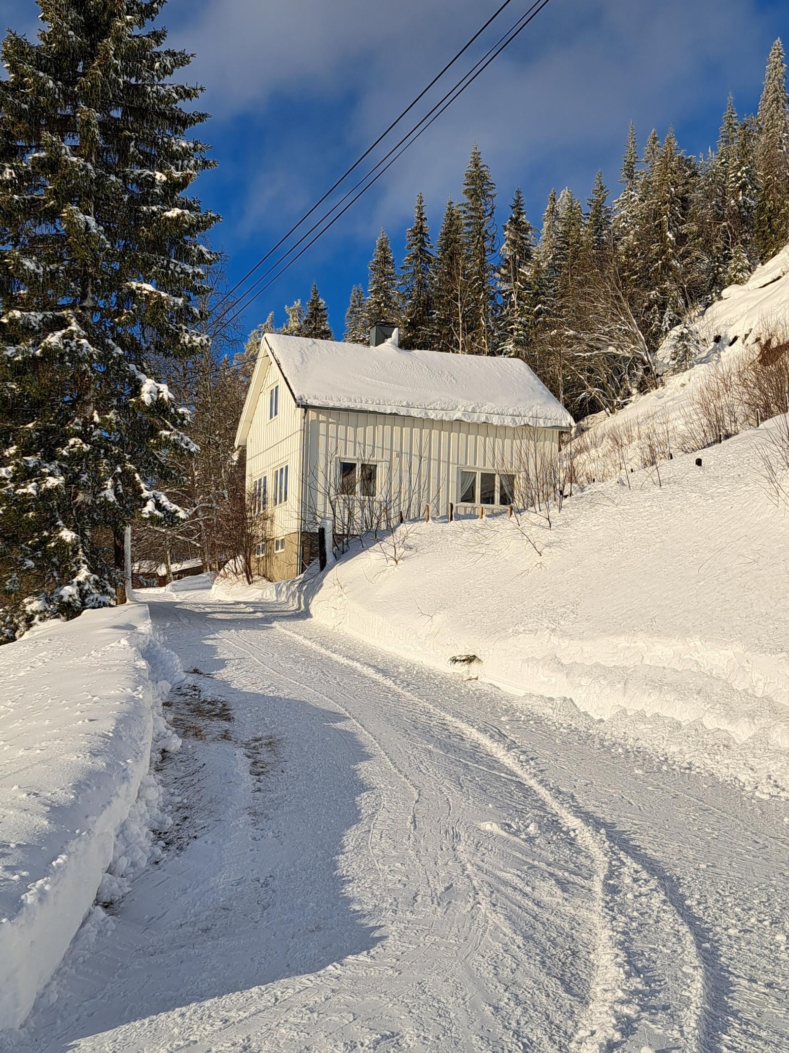Veien opp til huset Galleribilde