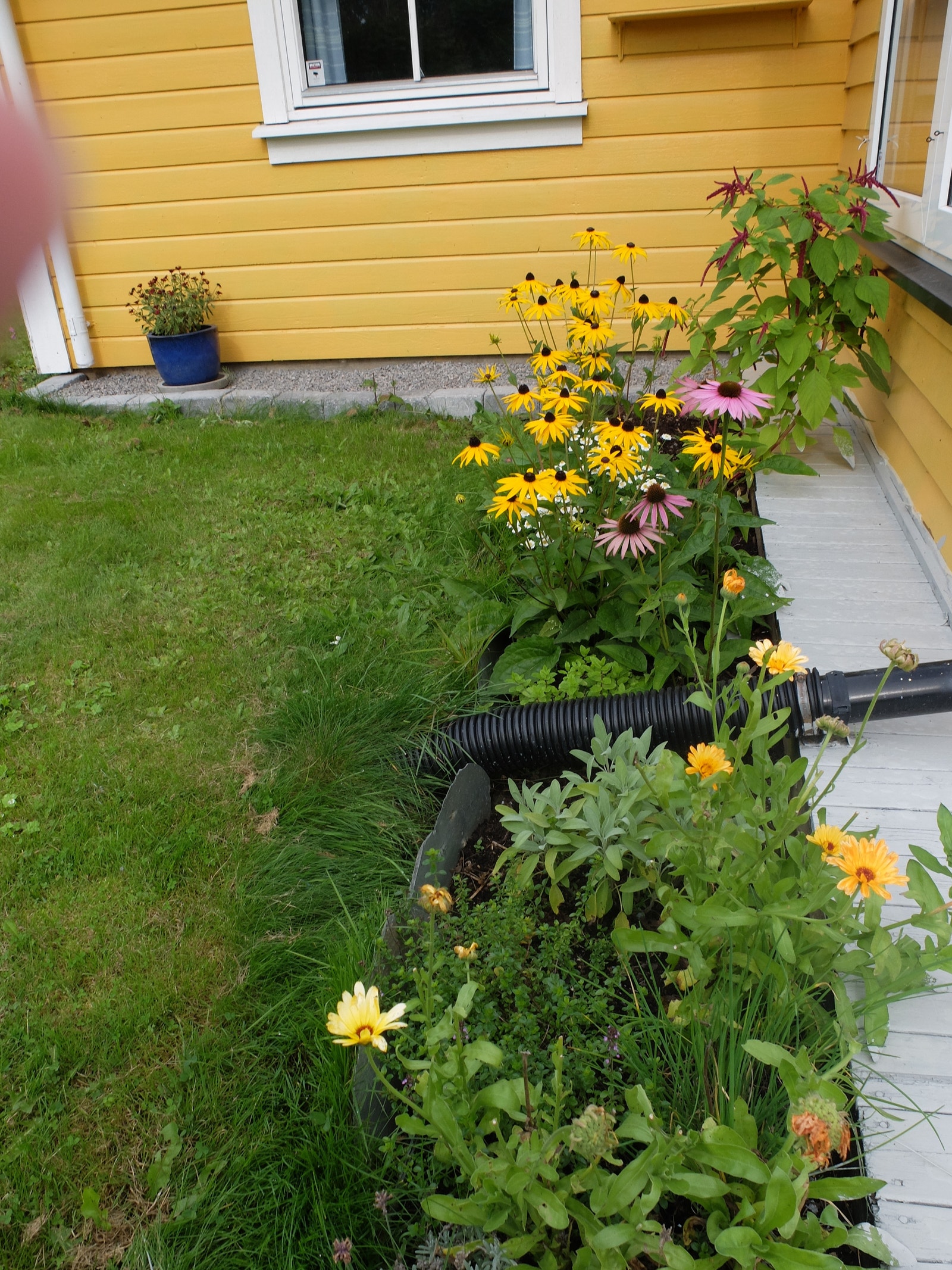 Blomsterpryd. Galleribilde