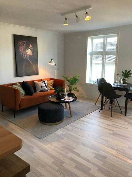 Hyggelig stue med plass til alt Galleribilde