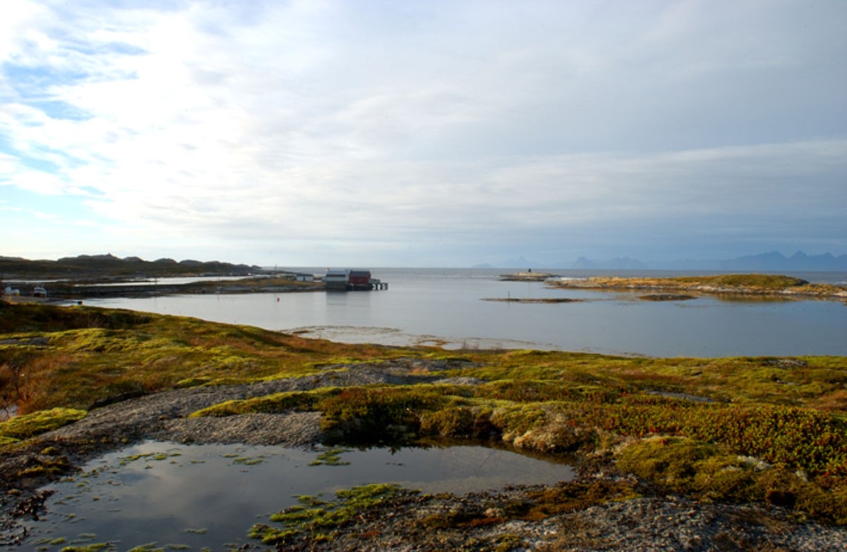 Naustholmen i Buvåg Galleribilde