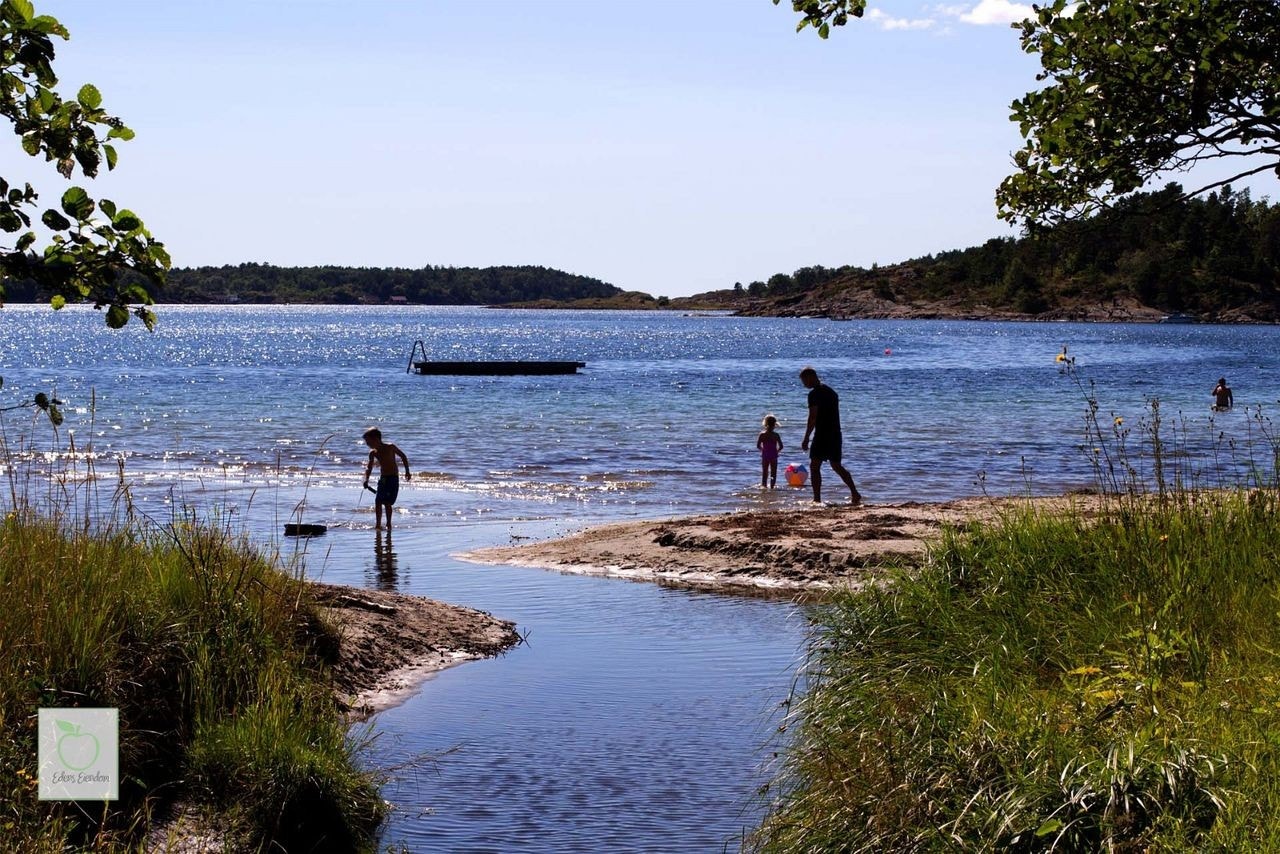 Grefstadvika Galleribilde