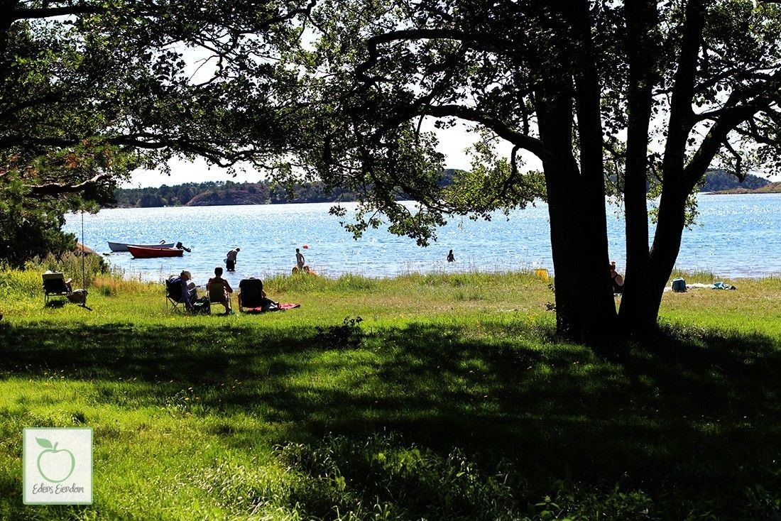 Grefstadvika Galleribilde