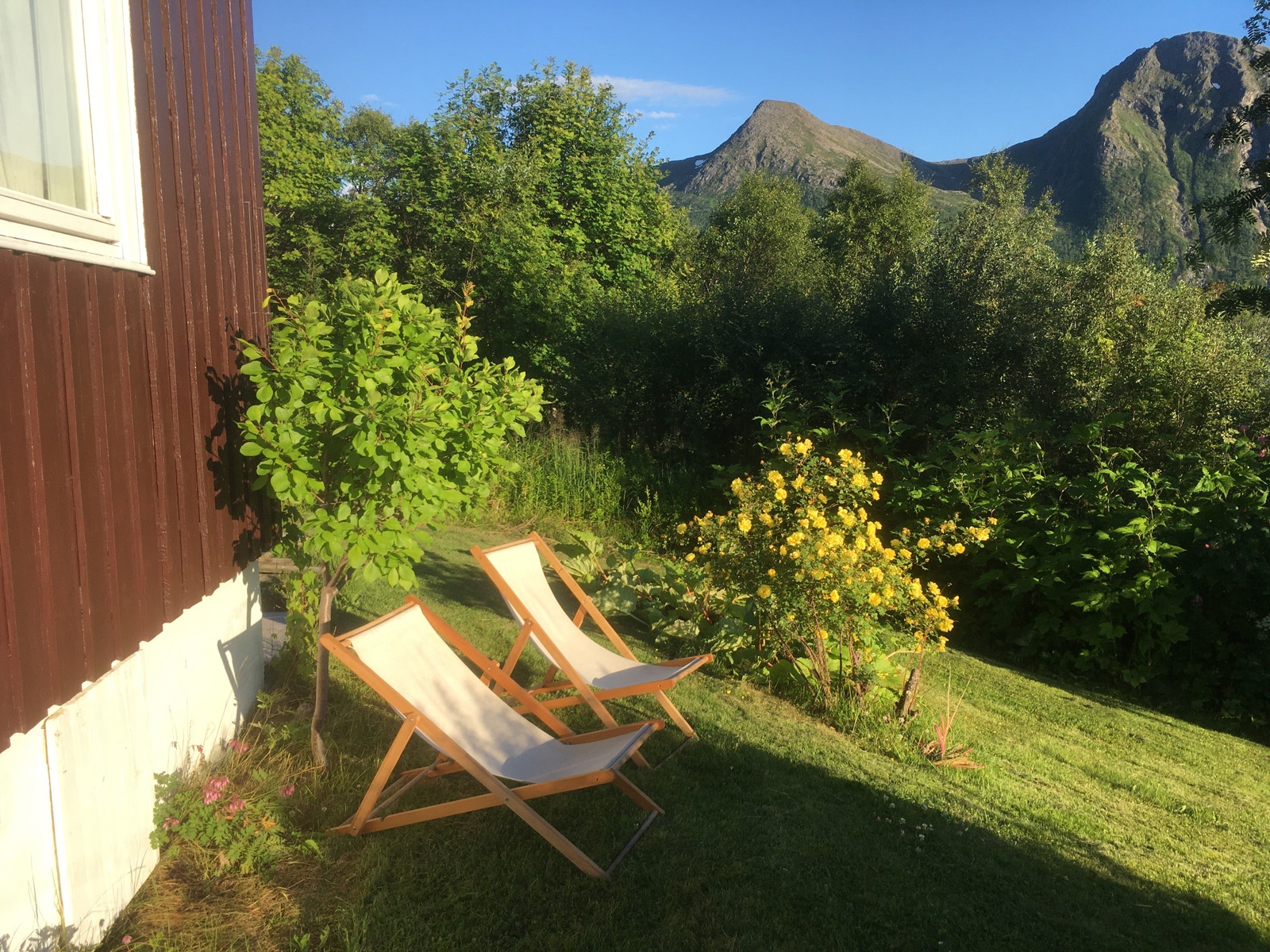 Sommer o hagen Galleribilde