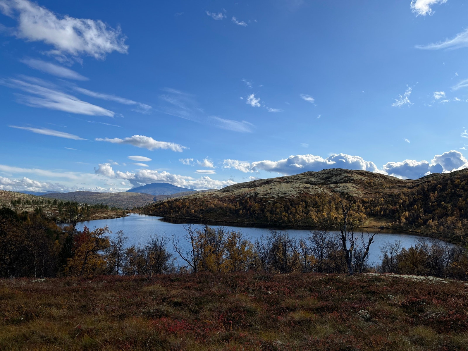 Fra runden 3 innsjøer rett bakom hytta Galleribilde