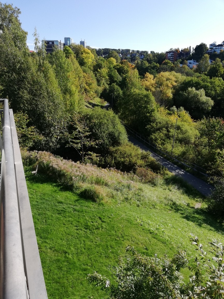 utsikt fra balkong Galleribilde