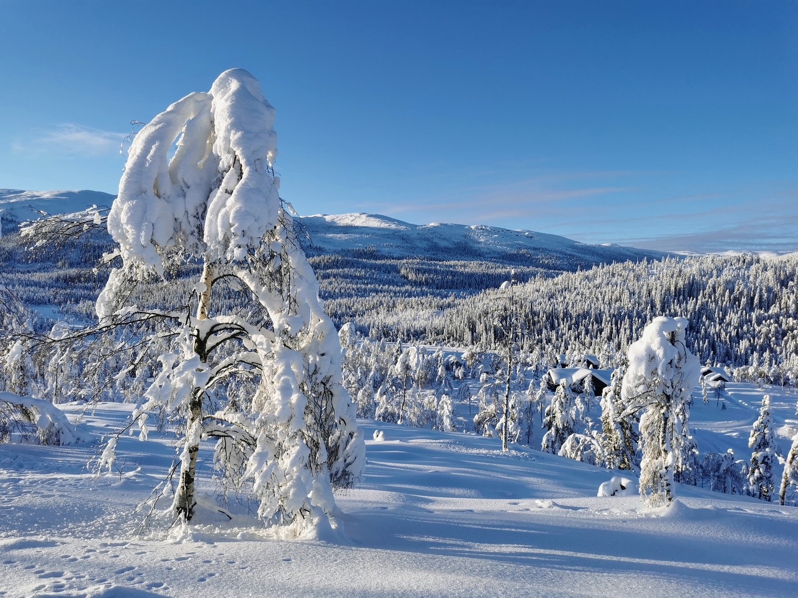 Dette bilde er tatt midt i hyttefeltet mot Vikerfjell i vest. Galleribilde