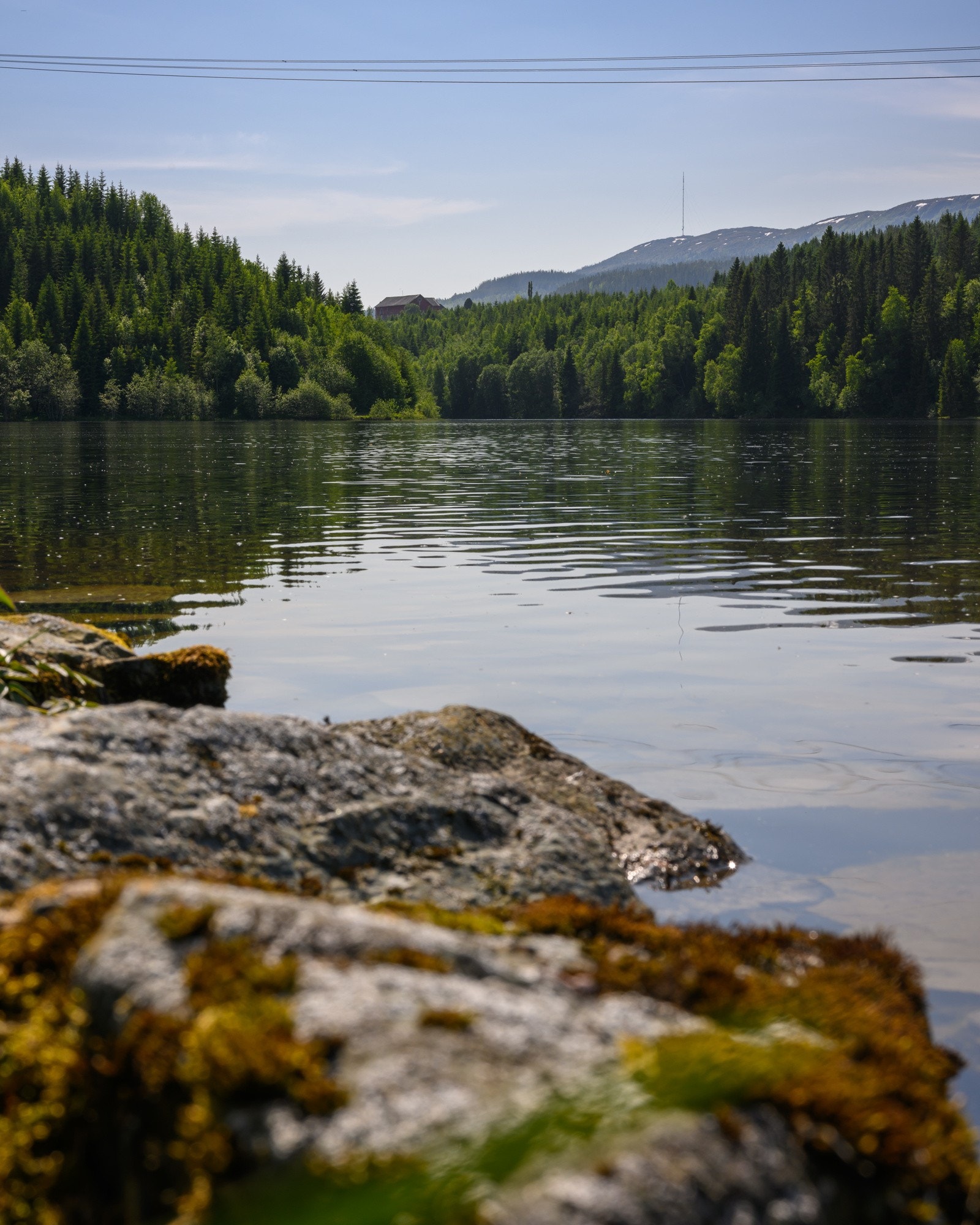 På Trøåsen og i Klæbu har du lett tilgang til naturen. Galleribilde
