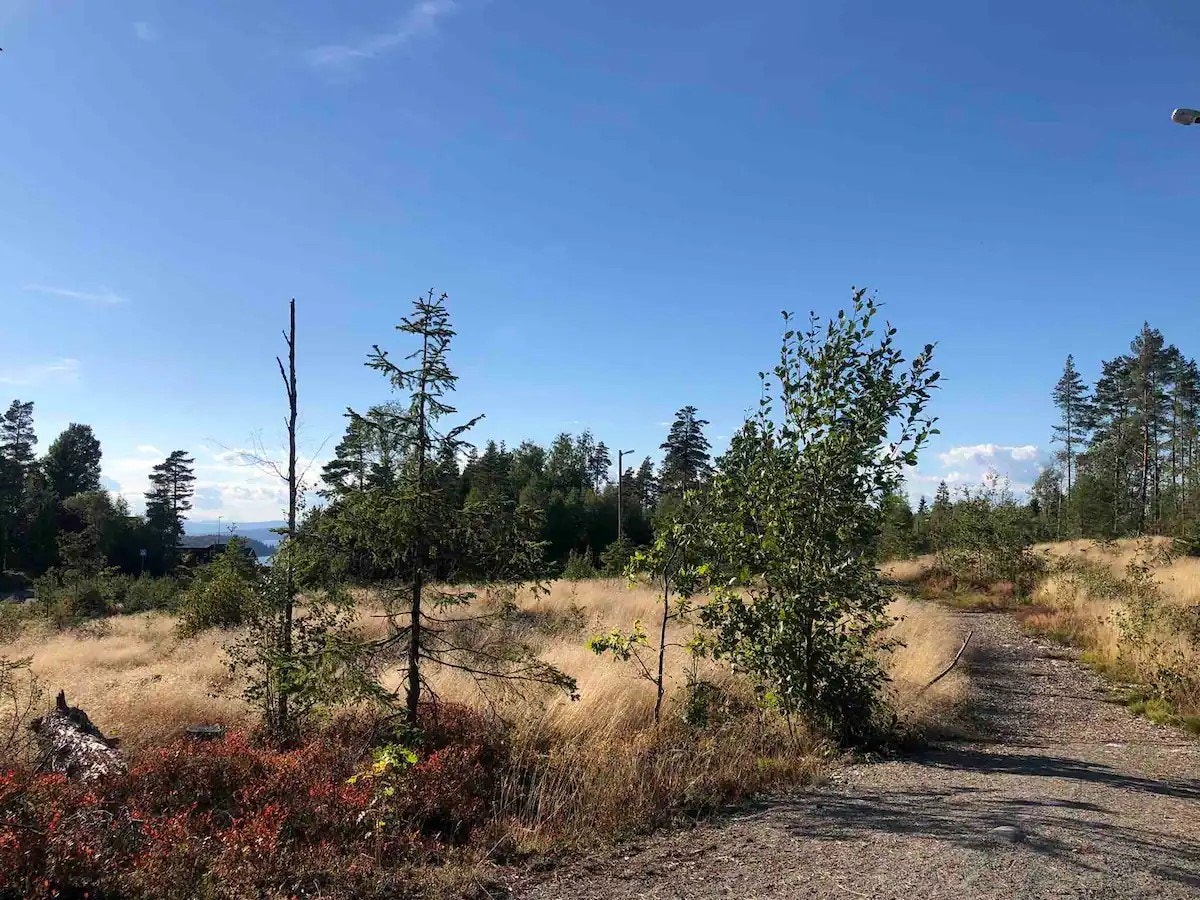 Mange tur- og sykkelmuligheter i området Galleribilde