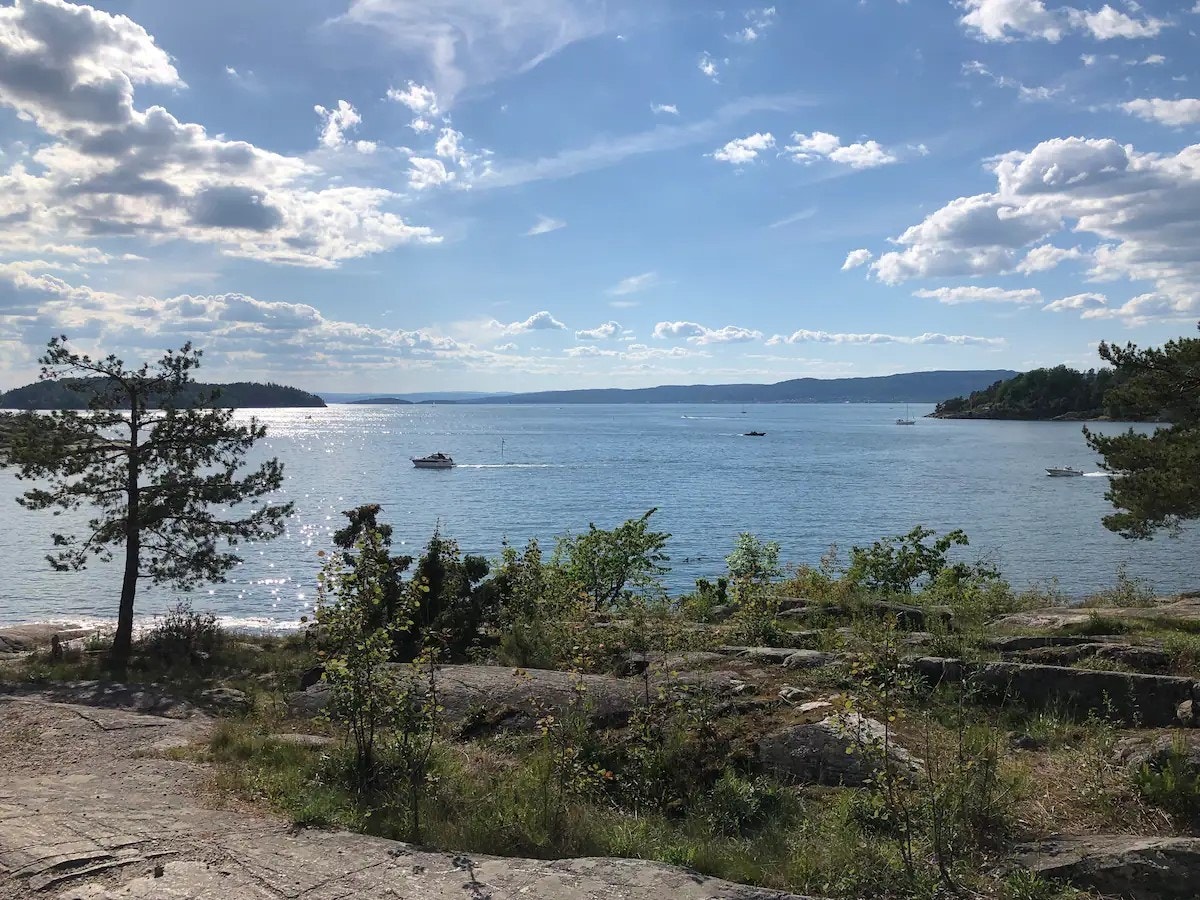 Kort vei til fjorden Galleribilde