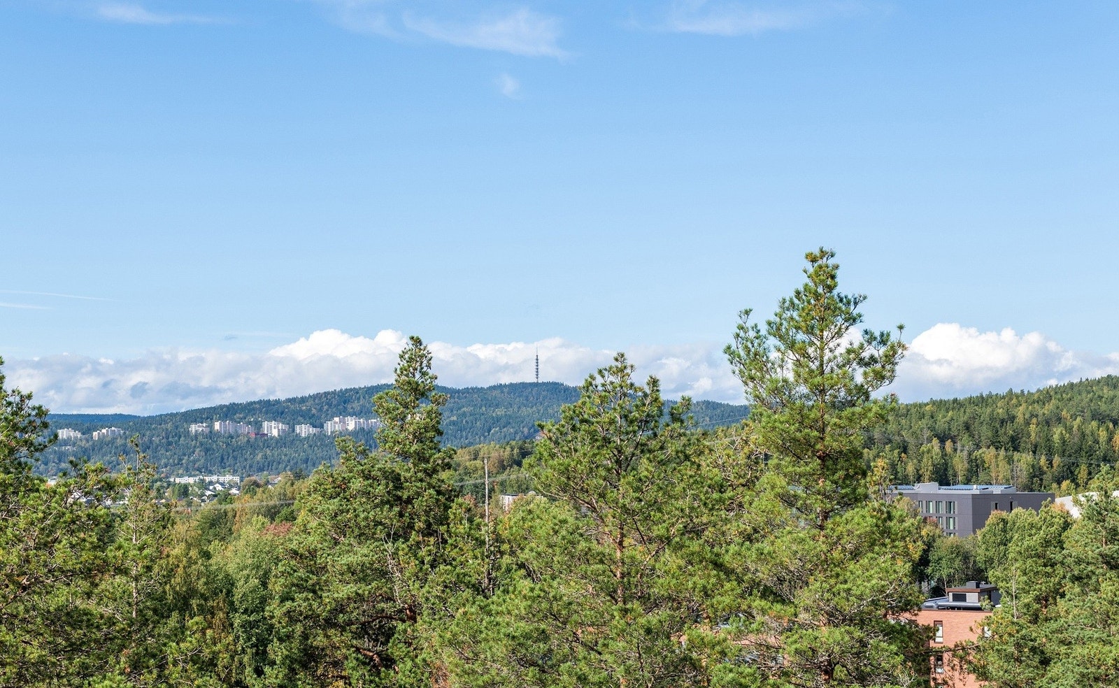 Flott utsikt fra hus E. Galleribilde