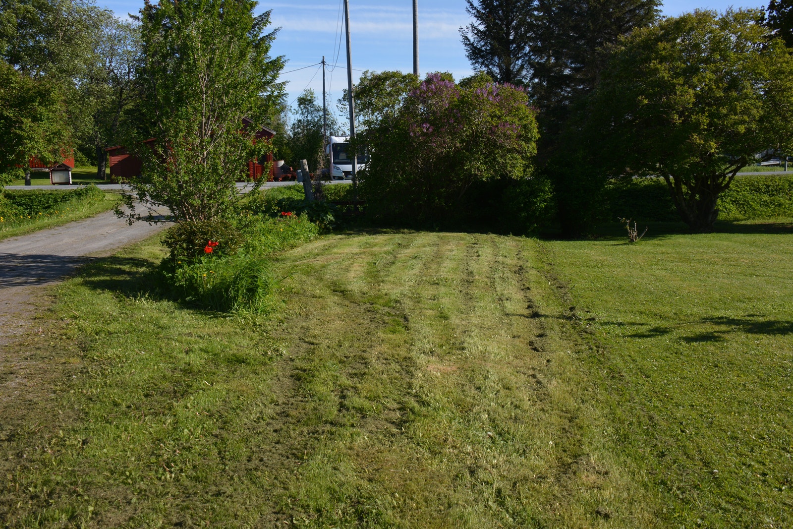 Langs innkljørsel mot nabo. Galleribilde