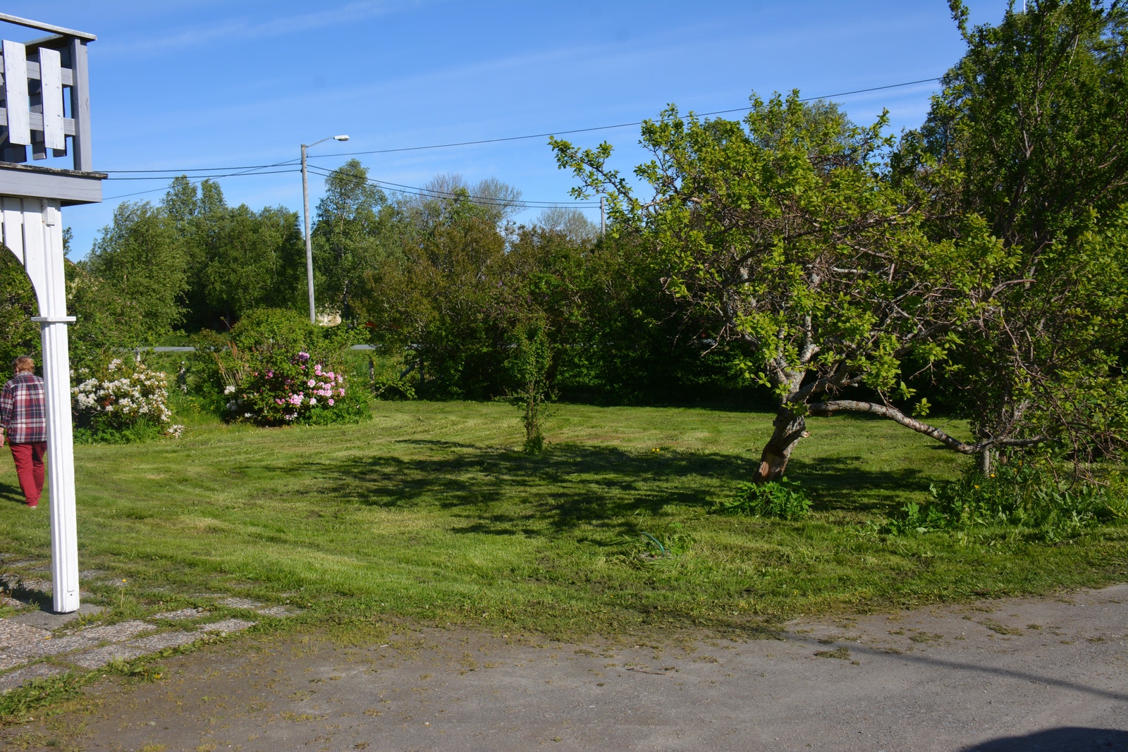 Plen foran huset Galleribilde