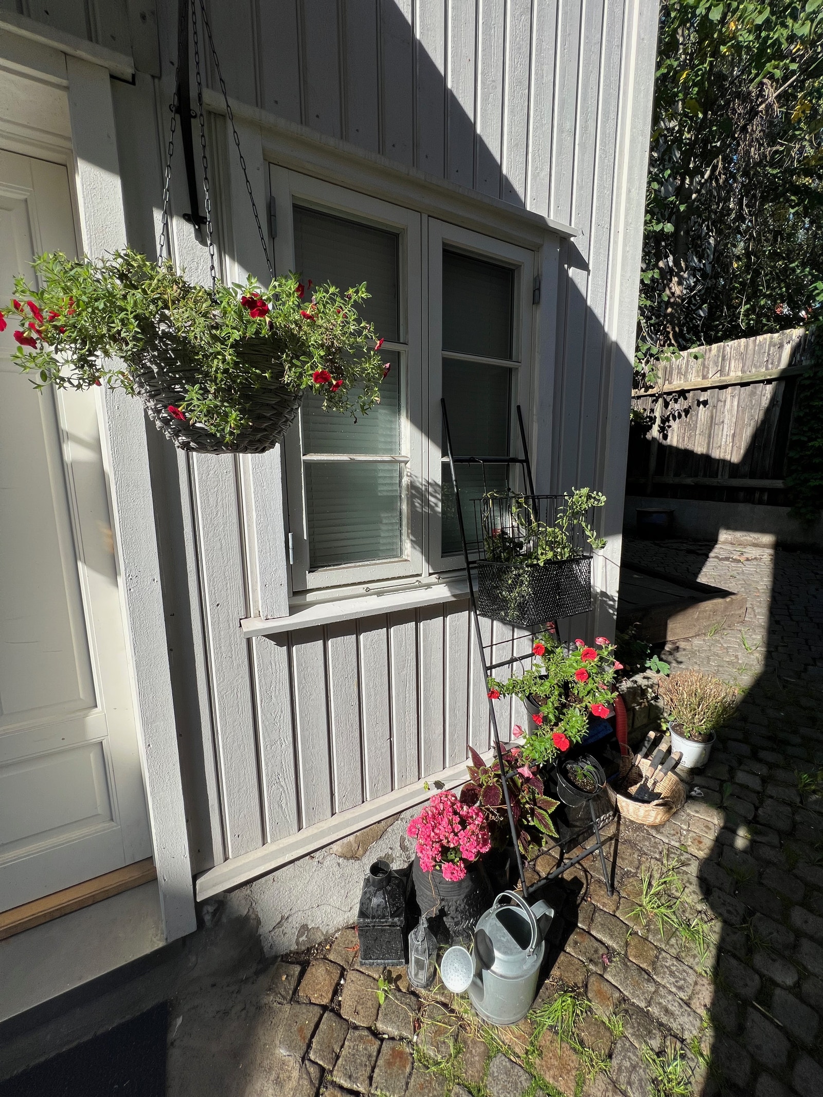 Miljø Galleribilde