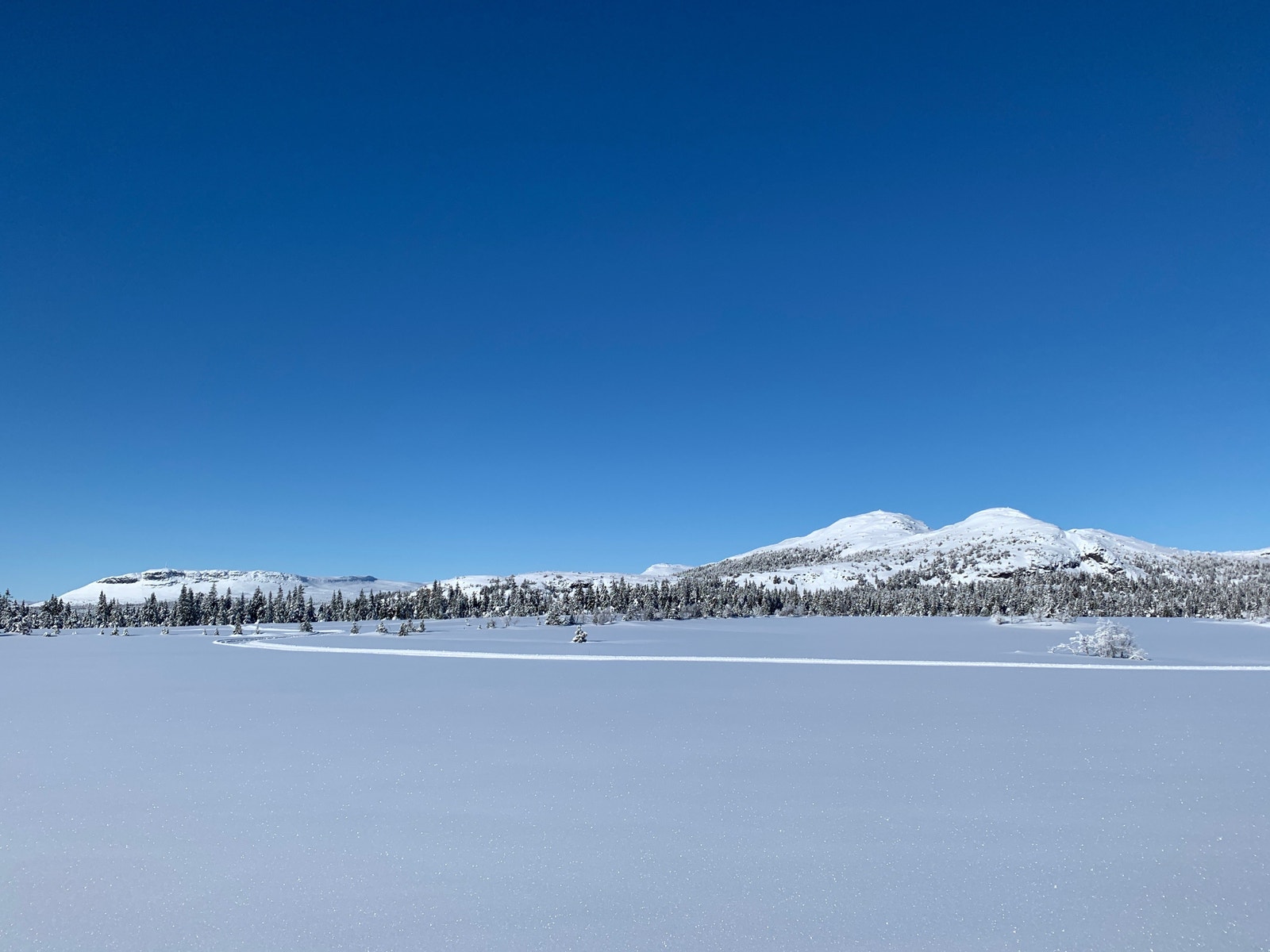 Roåkerknatten og Killiknappen, fine fotturmål på sommer. Galleribilde