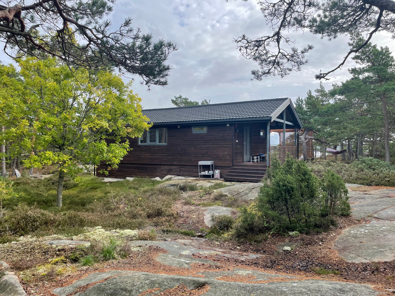 30 meter sti inn til hytta Galleribilde