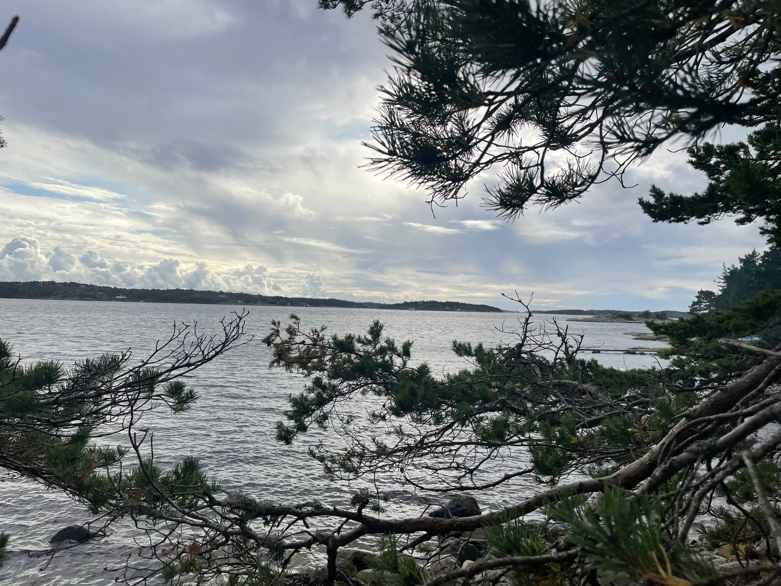 Utsikt mot søndre Sandøy Galleribilde