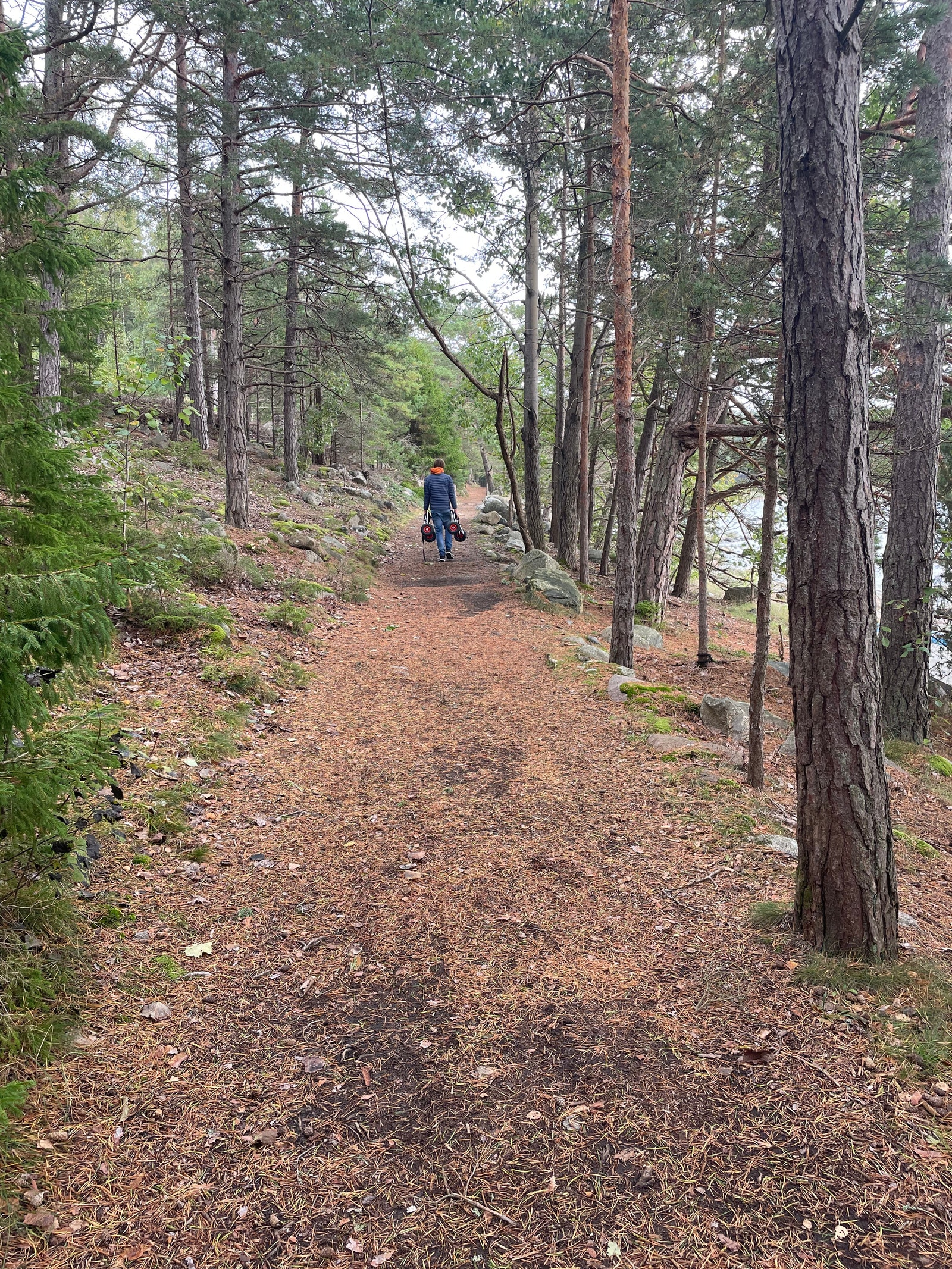 Kjærlighetsstien Galleribilde