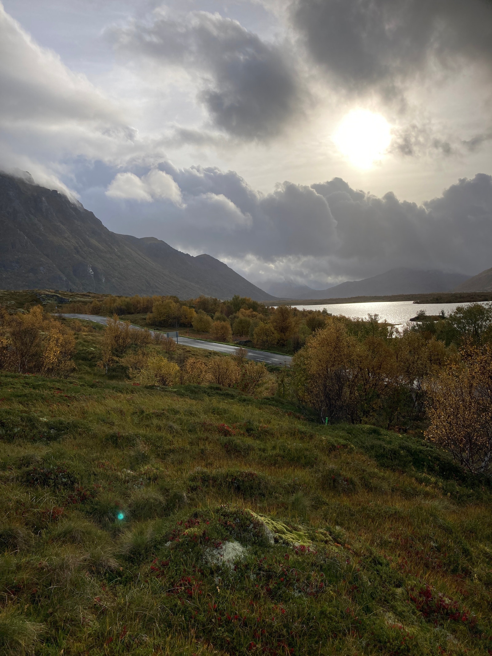 Utsikt over området Galleribilde
