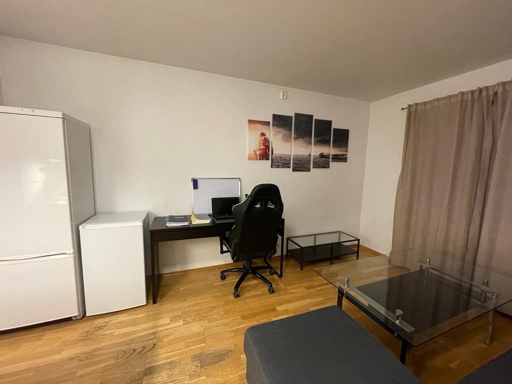 Stue/kjøkken/sov Galleribilde