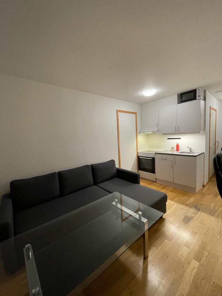 Stue/kjøkken/sov. Sovesofa mm kan medfølge hvis ønskelig Galleribilde