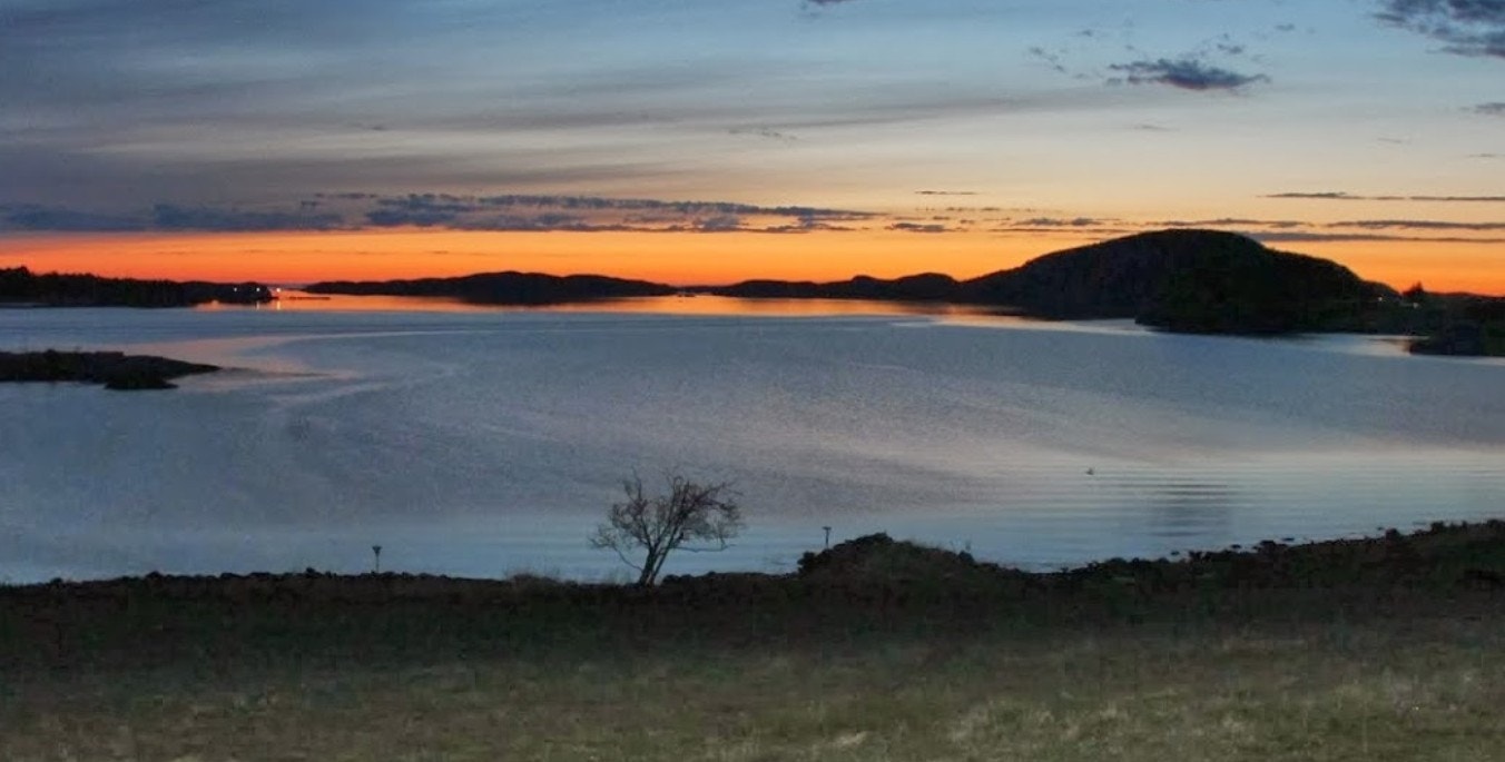 Bilde tatt fra Vik Midtre Galleribilde