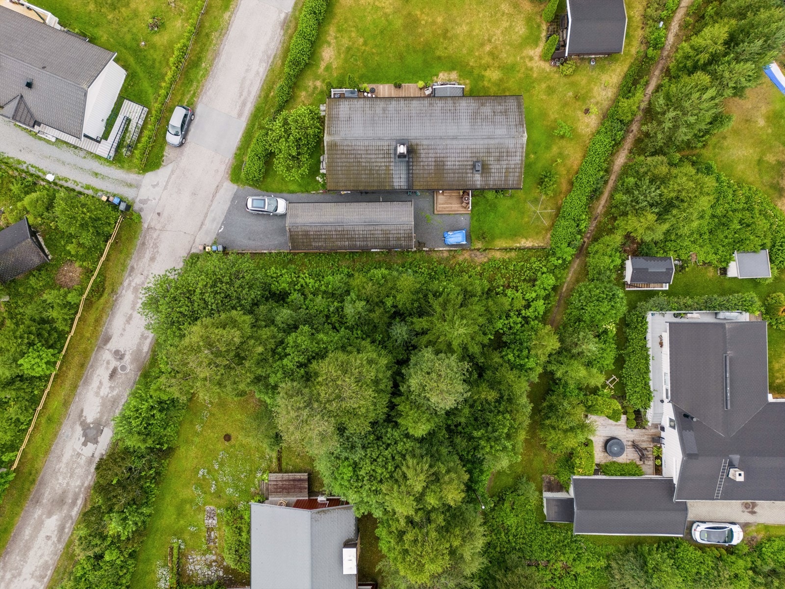 Stor boligtomt på ca. 965,9m² som i dag er en naturtomt med masse trær. Galleribilde