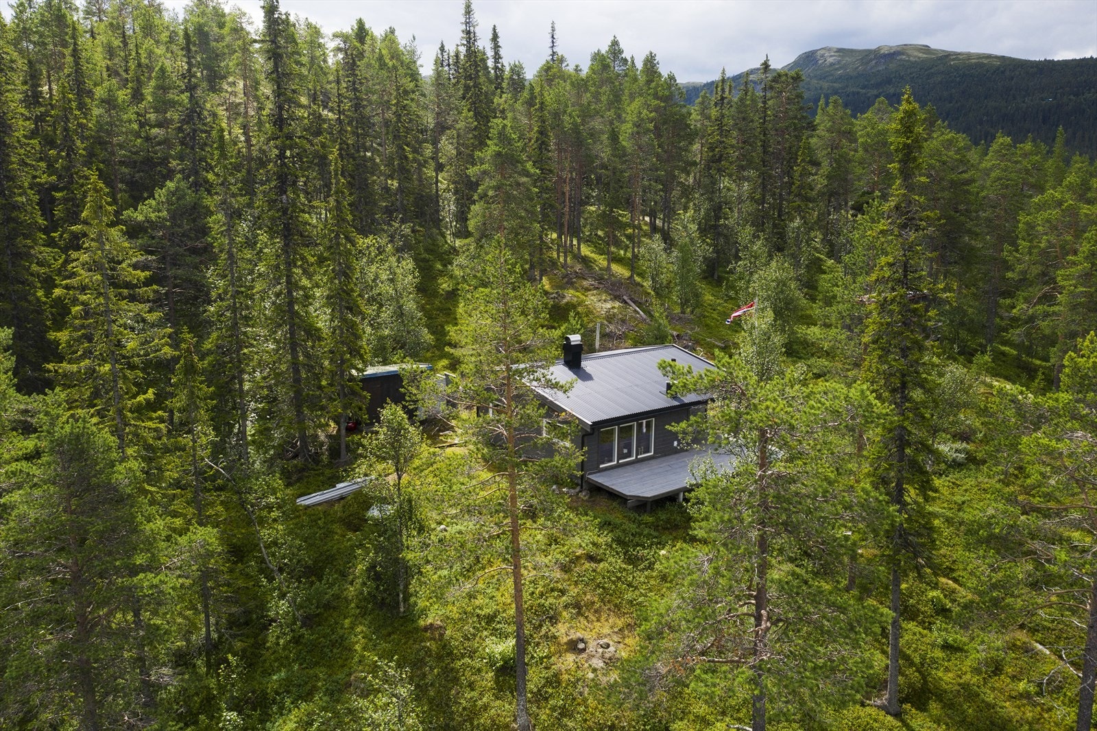 Tomten er noe flat rundt bygningsmassen og skråner ned til vannet. Galleribilde