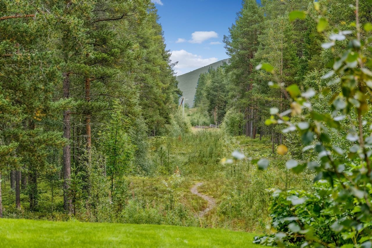 Turstier og lysløype i umiddelbar nærhet! Bare ved innkjørsel til eiendommen har du to ulike barnålsstier å velge i. Og det er blåbærterreng rett ut døra.. Galleribilde