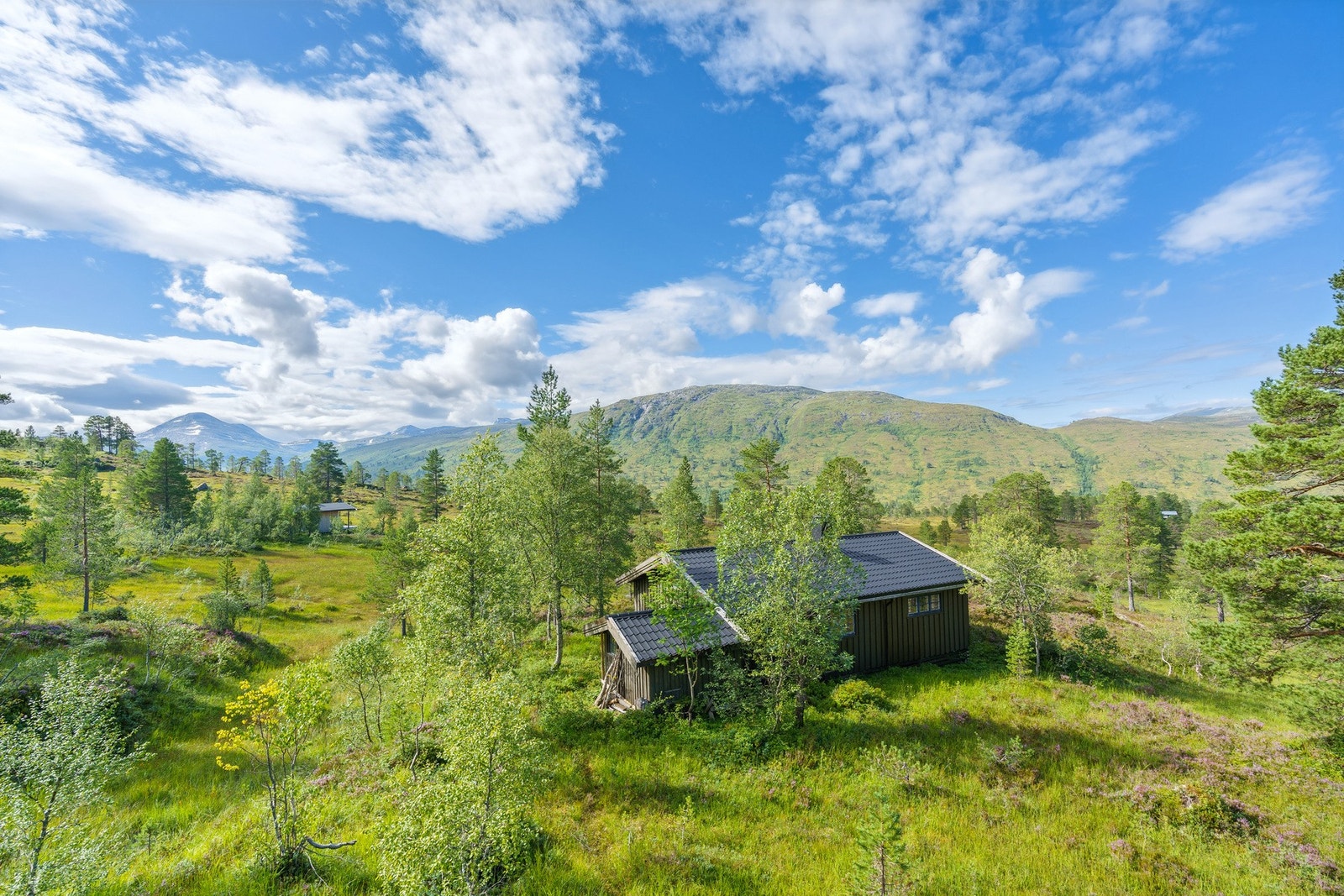 Beliggende i vakker natur i fjellheimen Galleribilde